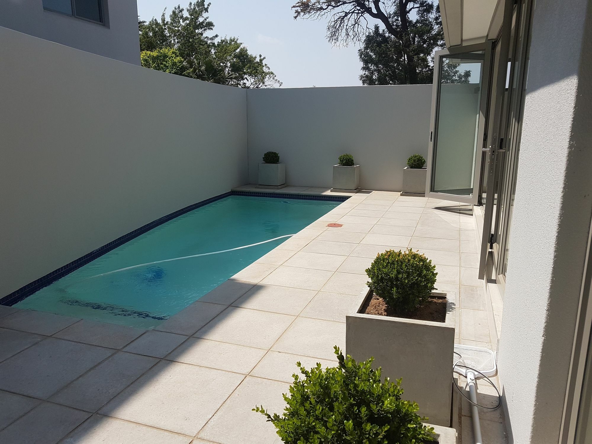 Daisy Place Γιοχάνεσμπουργκ Εξωτερικό φωτογραφία